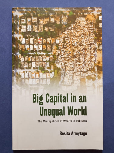 Big Capital In An Unequal World The Micropolitics Of Wealth In Pakistan