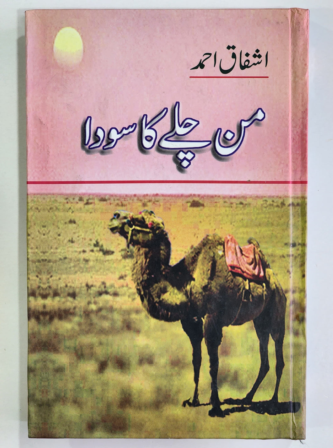 Man Chalay Kaa Sodaa by Ashfaq Ahmed