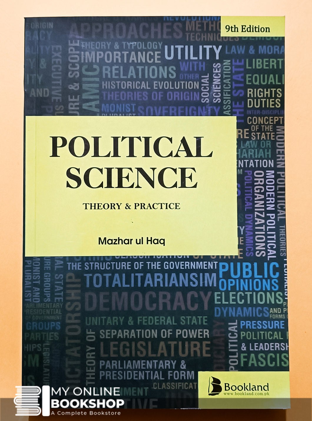 Political Science Theory and Practice